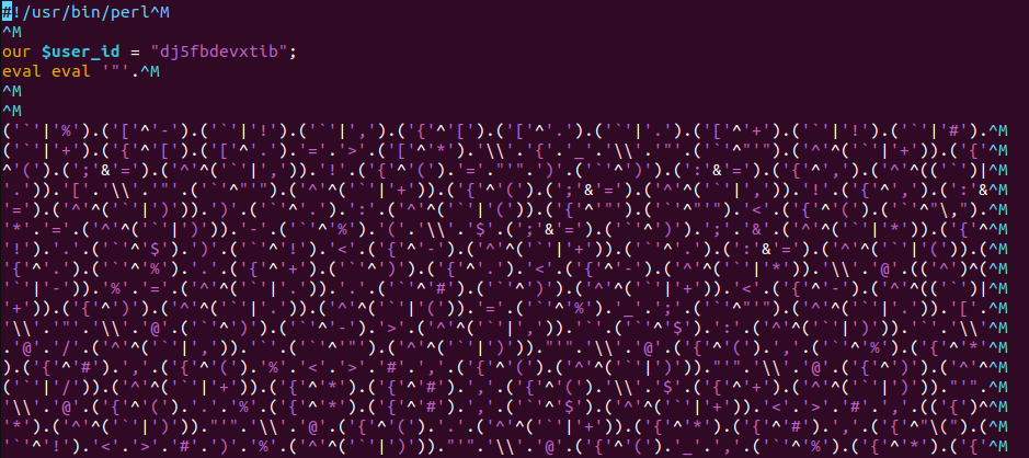 Initial Perl payload