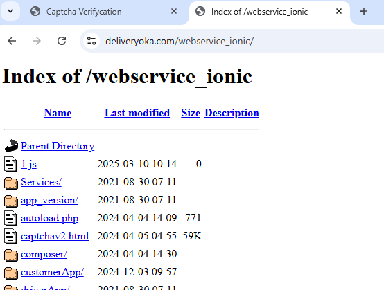 open directory on www.deliveryoka.com